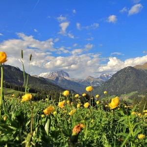 Urlaub Val di Fassa