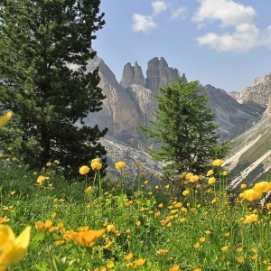 Catinaccio Rosengarten