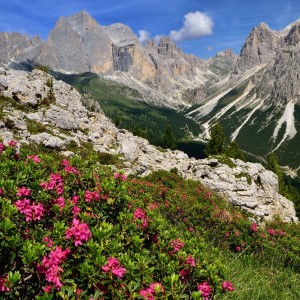 Alpen Hotel Corona Catinaccio