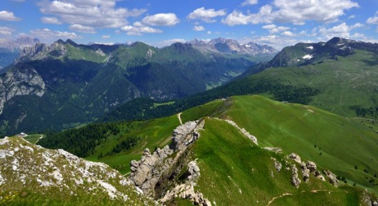 NOVITA' ESTATE 2014 ALPE LUSIA