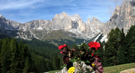 Sommer Aktivitäten auf der Rosengarten!