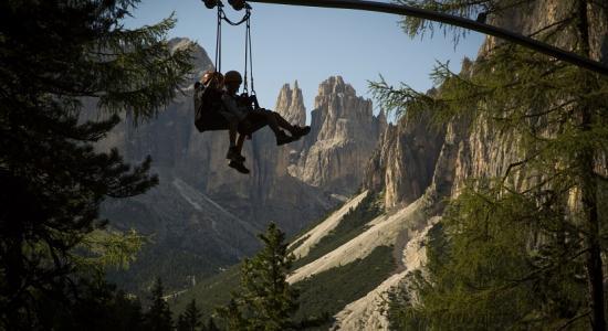 CATINACCIO/ROSENGARTEN FLY LINE