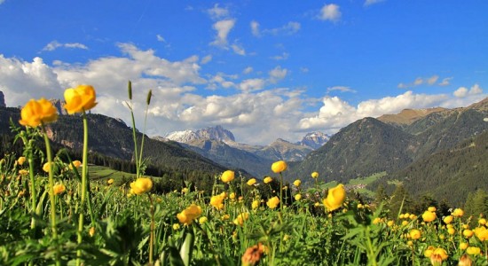 Val di Fassa Running 