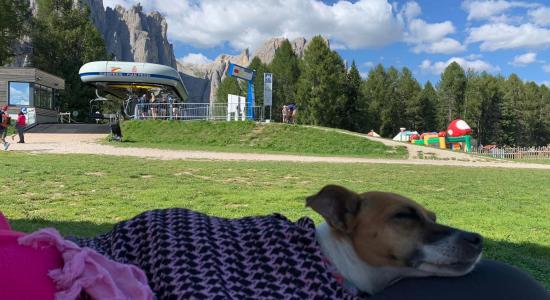 Vacanze con gli Animali